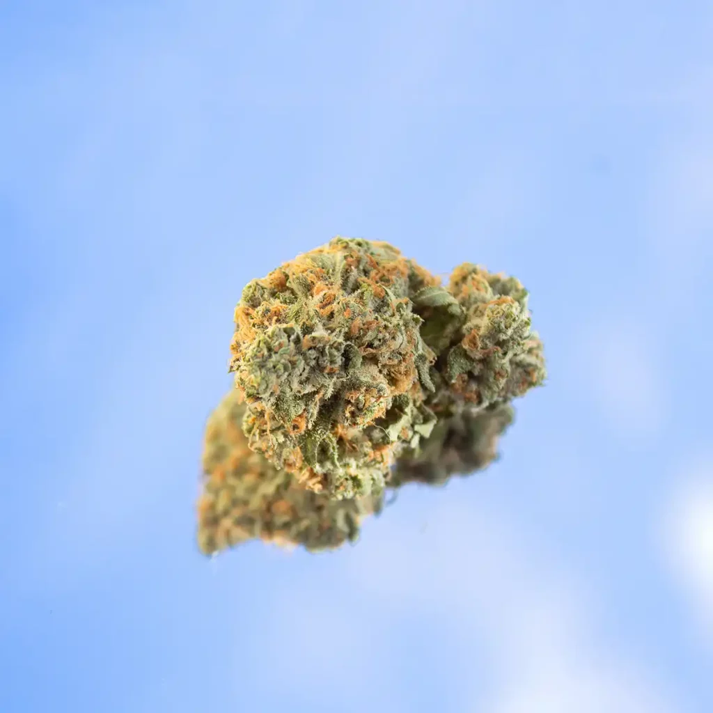 Canterra Cannabis Dispensary Specials link